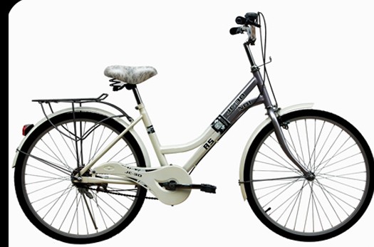 Step-Through Frame Bicycle with Fenders and Rack