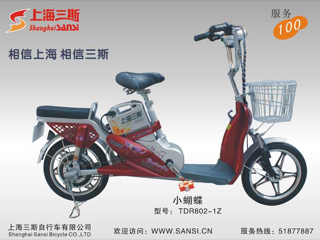 Step-Through Electric Bicycle with Cargo Rack