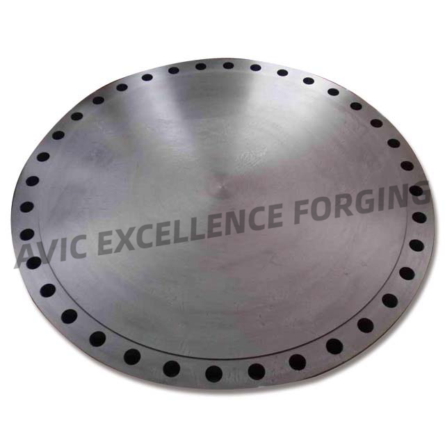 Large Diameter Alloy Steel Forged Flange