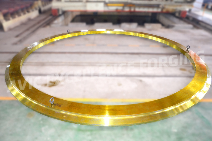 Large Diameter Carbon Steel Forged Flange