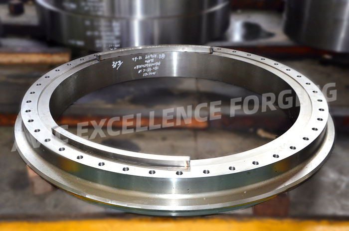 Large Diameter Stainless Steel Forged Flange