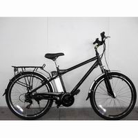 Electric Step-Through City Bicycle with Rear Hub Motor