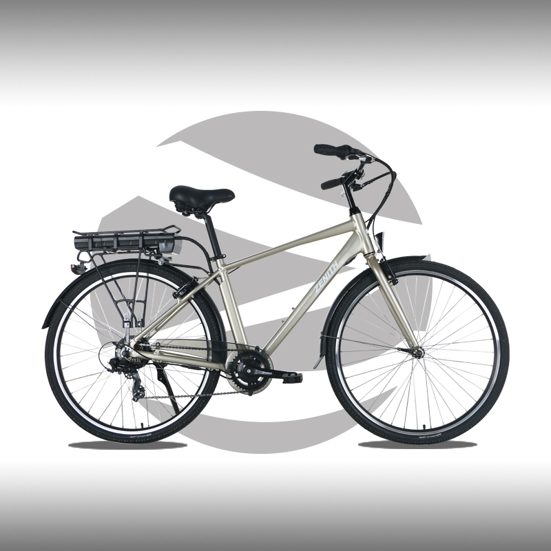 Step-Through Frame Electric Bicycle with Luggage Rack